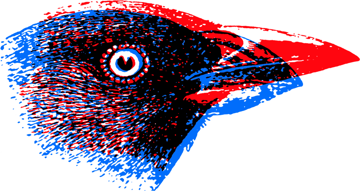 Bird Head Logo